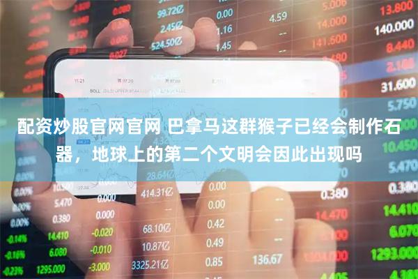 配资炒股官网官网 巴拿马这群猴子已经会制作石器，地球上的第二个文明会因此出现吗
